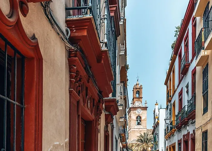 Gavidia Seville